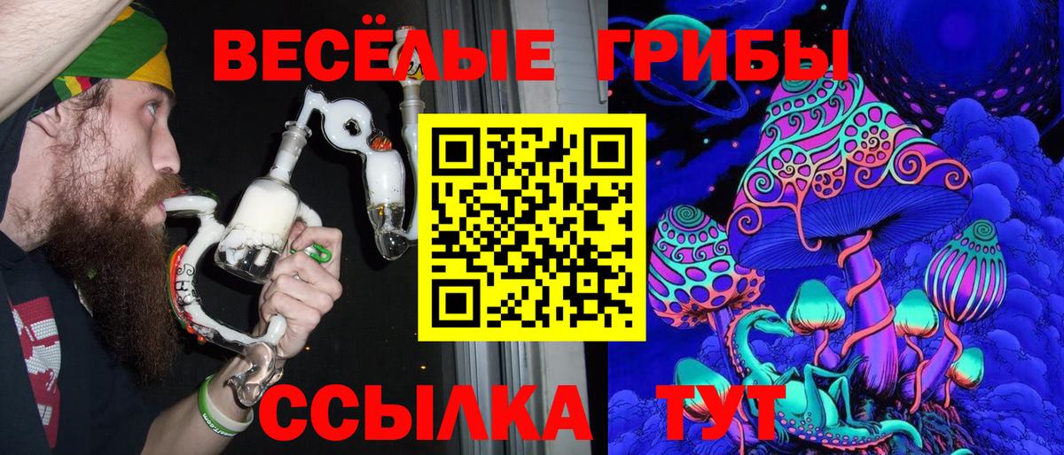 купить   Псилоцибиновые грибы Psilocybine cubensis  Вход с VPN  Глазов 